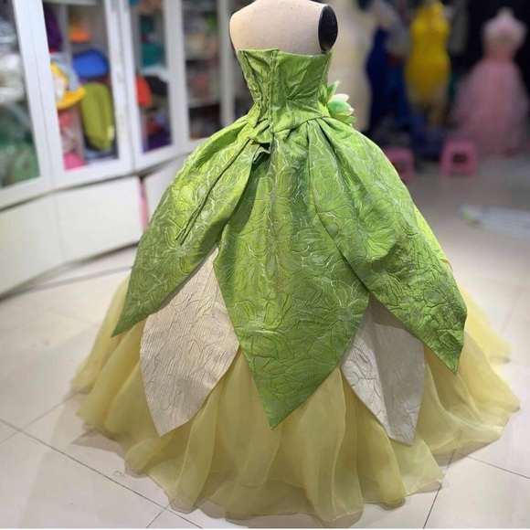 Other - Princess Tiana theme Dress